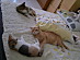View full size picture