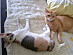 View full size picture