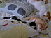 View full size picture