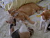 View full size picture