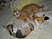 View full size picture
