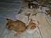 View full size picture