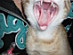 View full size picture