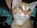 View full size picture