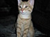 View full size picture