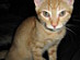 View full size picture