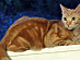 View full size picture