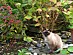 View full size picture
