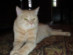 View full size picture