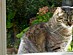 View full size picture