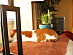 View full size picture