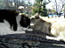 View full size picture
