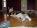 View full size picture