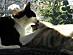 View full size picture