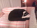 View full size picture