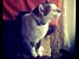 View full size picture