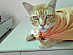 View full size picture