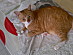 View full size picture