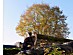 View full size picture