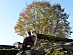 View full size picture