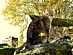 View full size picture