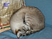 View full size picture