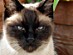 View full size picture