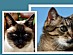 View full size picture