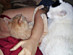 View full size picture