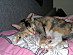 View full size picture