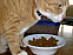 View full size picture