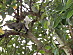 View full size picture