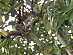 View full size picture