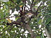 View full size picture