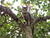 View full size picture