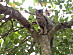 View full size picture