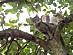 View full size picture