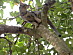 View full size picture