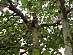 View full size picture