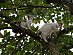 View full size picture