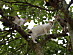 View full size picture