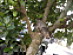 View full size picture