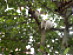 View full size picture