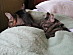 View full size picture