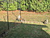 View full size picture