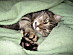 View full size picture