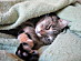View full size picture