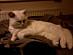 View full size picture