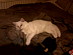 View full size picture