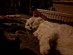 View full size picture